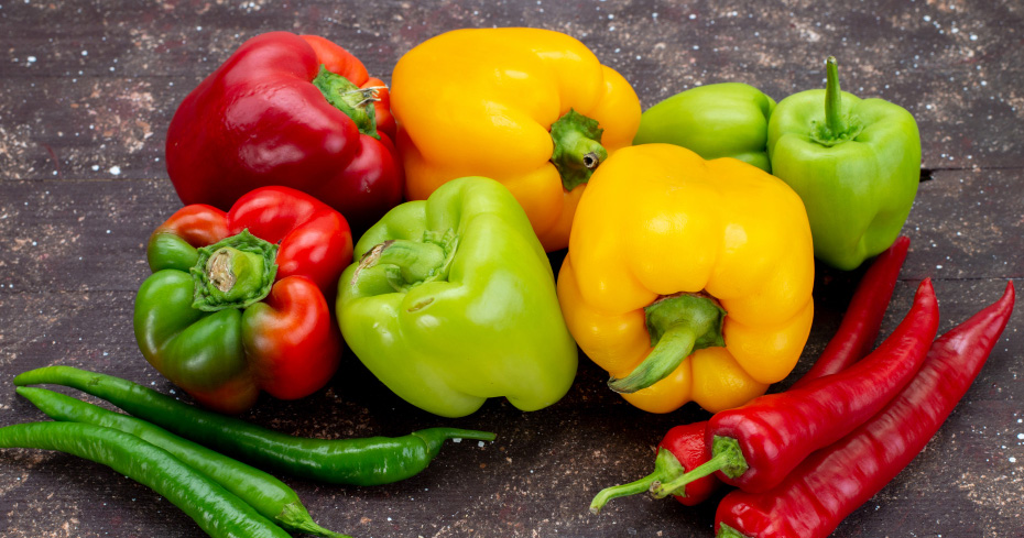 Meadow View Growers | Growing Peppers